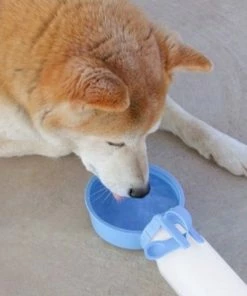 TVTimeDirect Pets Porta-Pet Water Bottle- Light Blue - Small