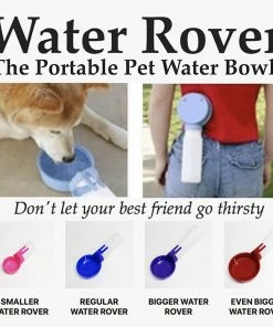 TVTimeDirect Water Rover Regular 4-Inch Bowl, 15-Ounce Bottle, Pink