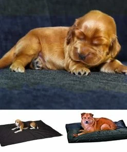 TVTimeDirect Slumber Pet 3-in-1 Multi Use Pet Mat, Black Pets