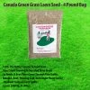 TVTimeDirect Canada Green Grass Lawn Seed - 4 Pound Bag Houseware