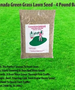 TVTimeDirect Canada Green Grass Lawn Seed - 4 Pound Bag Houseware
