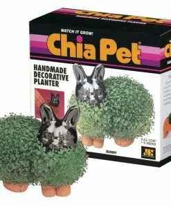 TVTimeDirect Chia Pet Planter - Bunny Chia Pets
