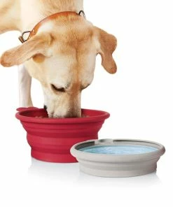 TVTimeDirect Pet Parade - Pop-up Food & Water Bowl Pets