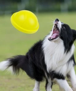 TVTimeDirect K9 Slider With Squeaker Pet Toy