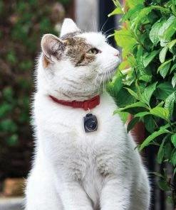 TVTimeDirect Pets Pet Parade Ultrasonic Tick & Flea Repeller