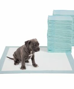 TVTimeDirect Four Paws DELUXE Wee Wee Pads For Standard And Little Dogs, 36 Count Pets