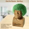TVTimeDirect Chia Pets Chia Pet Planter - Bob Ross