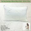 TVTimeDirect Houseware The Best Bamboo Pillow (King-Firm) - 36 In. X 19 In.