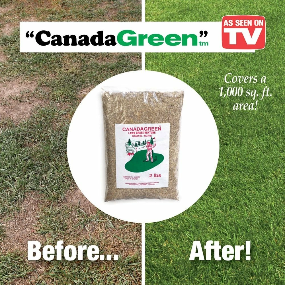 TVTimeDirect Canada Green Grass Lawn Seed - 6 Pound Bag 5 TVTimeDirect Canada Green Grass Lawn Seed - 6 Pound Bag