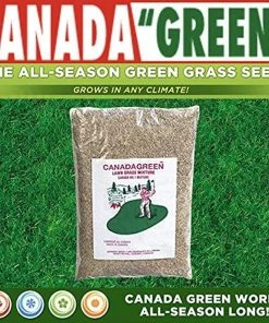 TVTimeDirect Canada Green Grass Lawn Seed - 12 Pound Bag Houseware