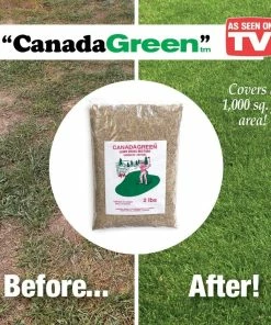 TVTimeDirect Houseware Canada Green Grass Lawn Seed - 8 Pound Bag