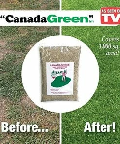 TVTimeDirect Canada Green Grass Lawn Seed - 4 Pound Bag Houseware