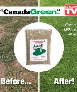 TVTimeDirect Canada Green Grass Lawn Seed - 2 Pound Bag
