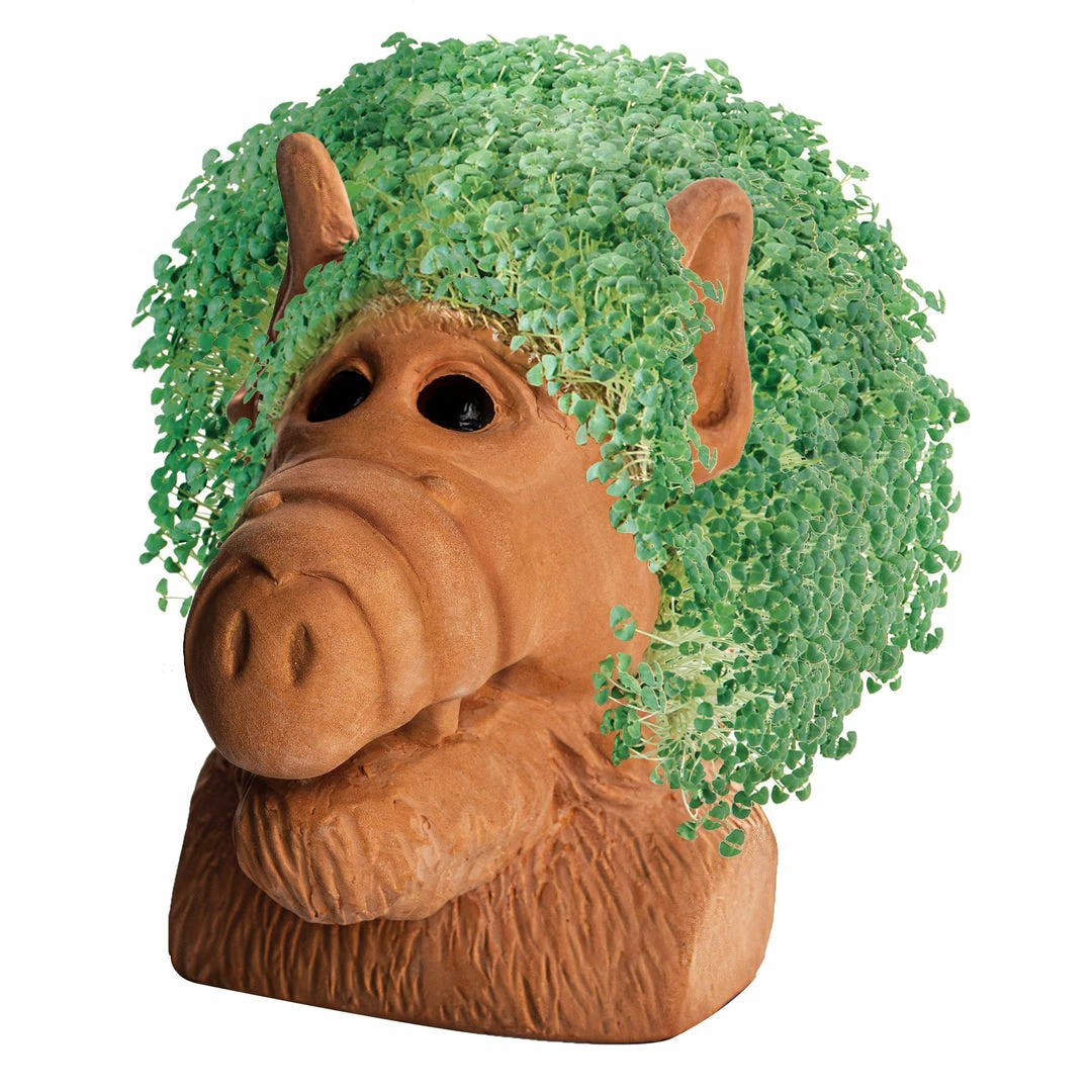 TVTimeDirect Chia Pets Chia Pet Planter - Alf 8 TVTimeDirect Chia Pets Chia Pet Planter - Alf