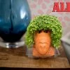 TVTimeDirect Chia Pets Chia Pet Planter - Alf 2 TVTimeDirect Chia Pets Chia Pet Planter - Alf