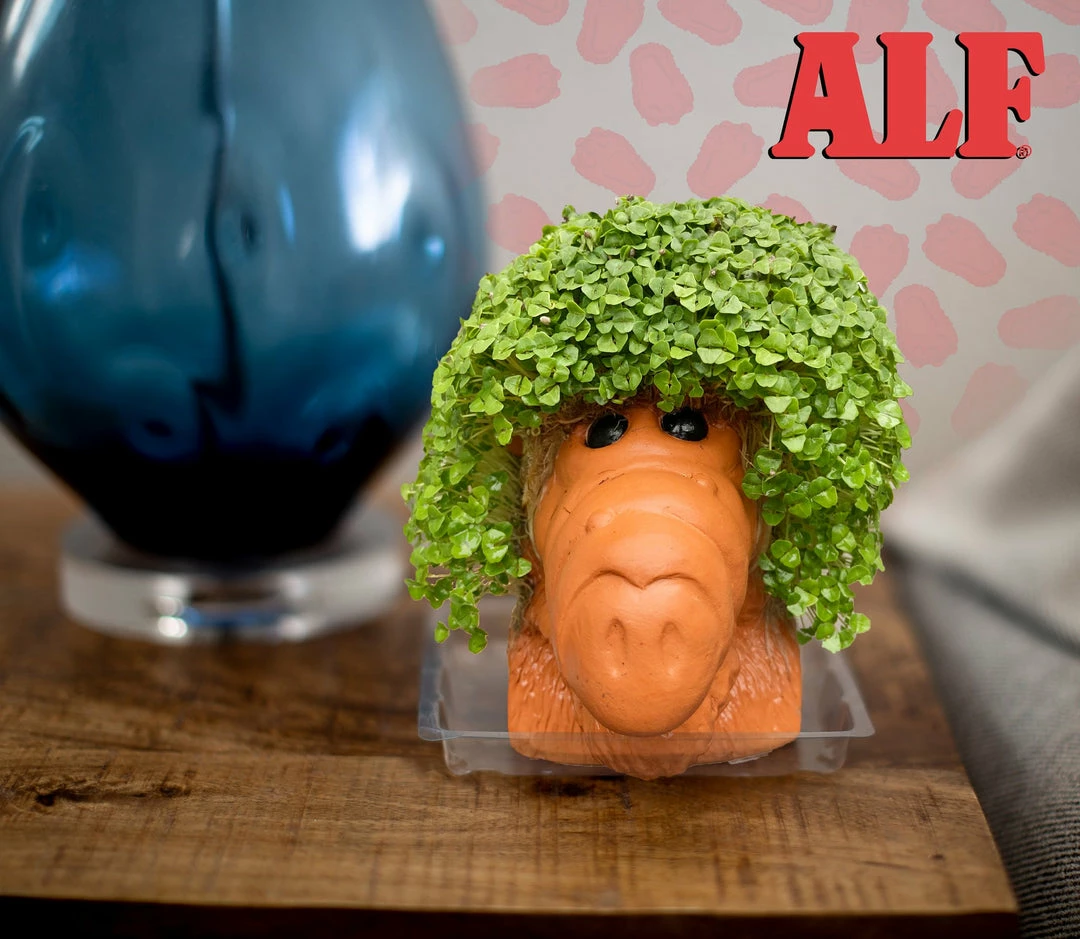 TVTimeDirect Chia Pets Chia Pet Planter - Alf 3 TVTimeDirect Chia Pets Chia Pet Planter - Alf