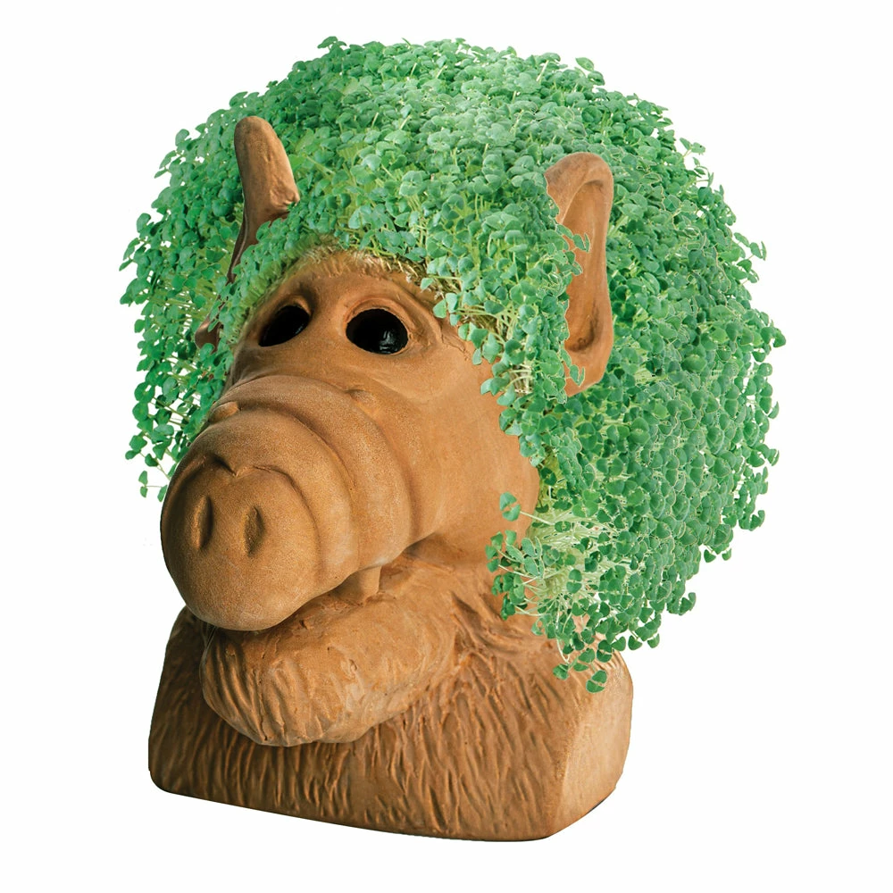 TVTimeDirect Chia Pets Chia Pet Planter - Alf 4 TVTimeDirect Chia Pets Chia Pet Planter - Alf