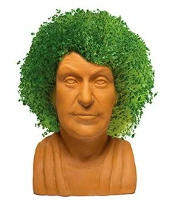 TVTimeDirect Chia Pet Planter - The Golden Girls- Dorothy
