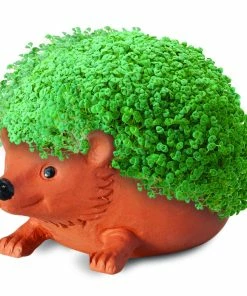 TVTimeDirect Chia Pets Chia Pet Planter - Hedgehog 8 TVTimeDirect Chia Pets Chia Pet Planter - Hedgehog