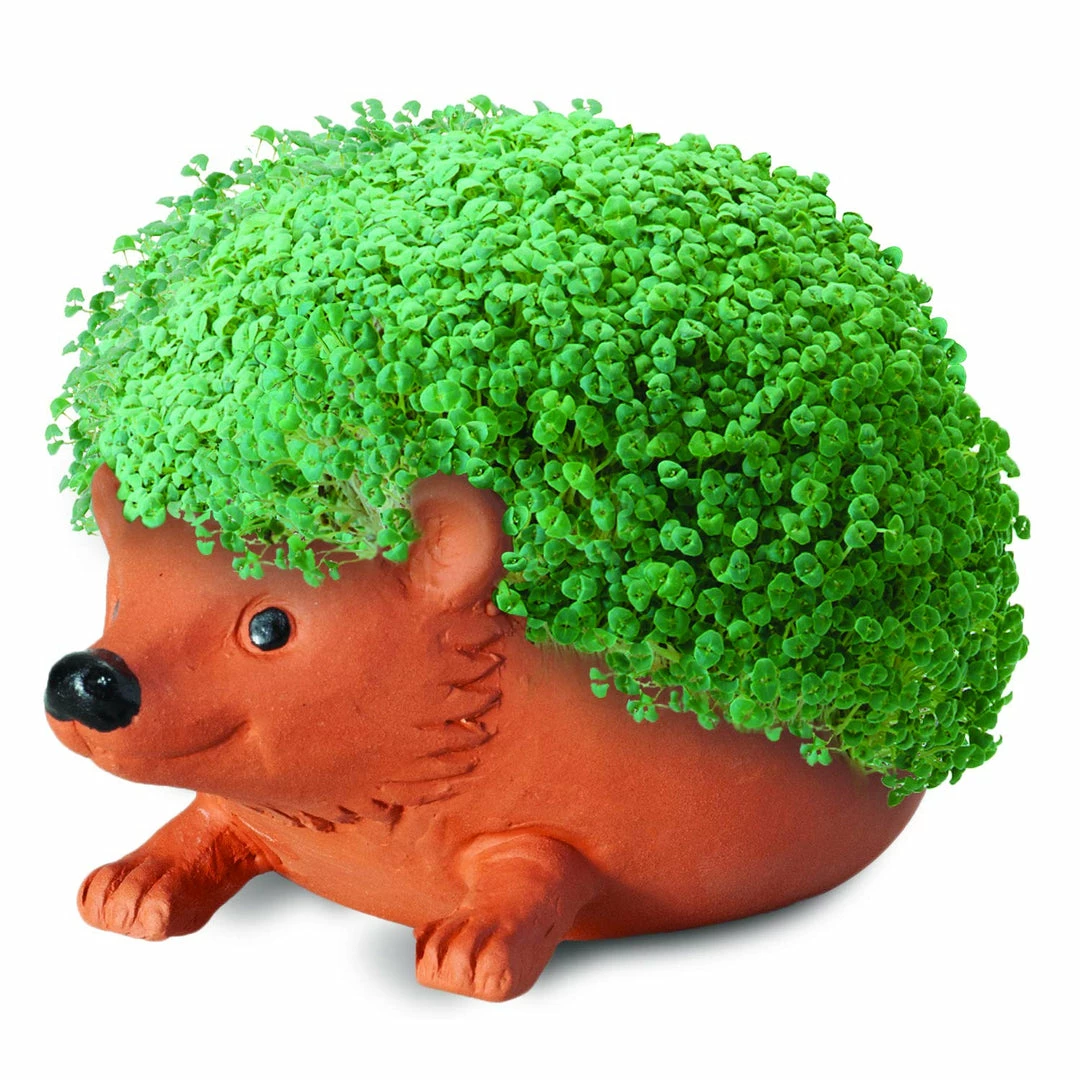 TVTimeDirect Chia Pets Chia Pet Planter - Hedgehog 5 TVTimeDirect Chia Pets Chia Pet Planter - Hedgehog