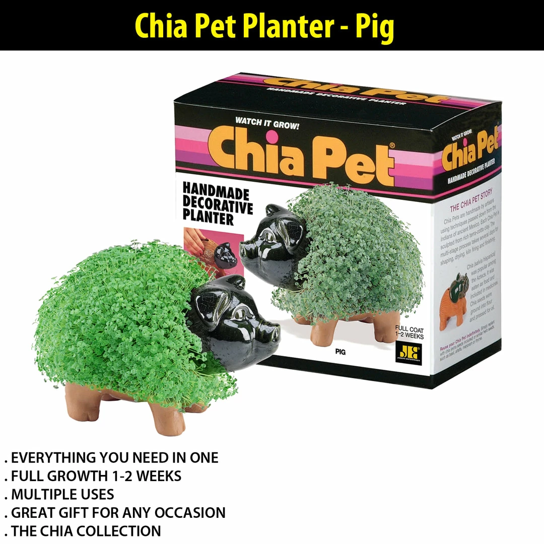 TVTimeDirect Chia Pets Chia Pet Planter - Pig 3 TVTimeDirect Chia Pets Chia Pet Planter - Pig