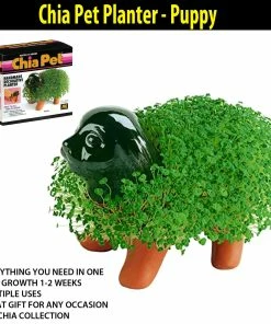 TVTimeDirect Chia Pets Chia Pet Planter - Puppy