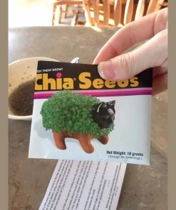 TVTimeDirect Chia Pets Chia Pet Seeds (Pack Of 3)
