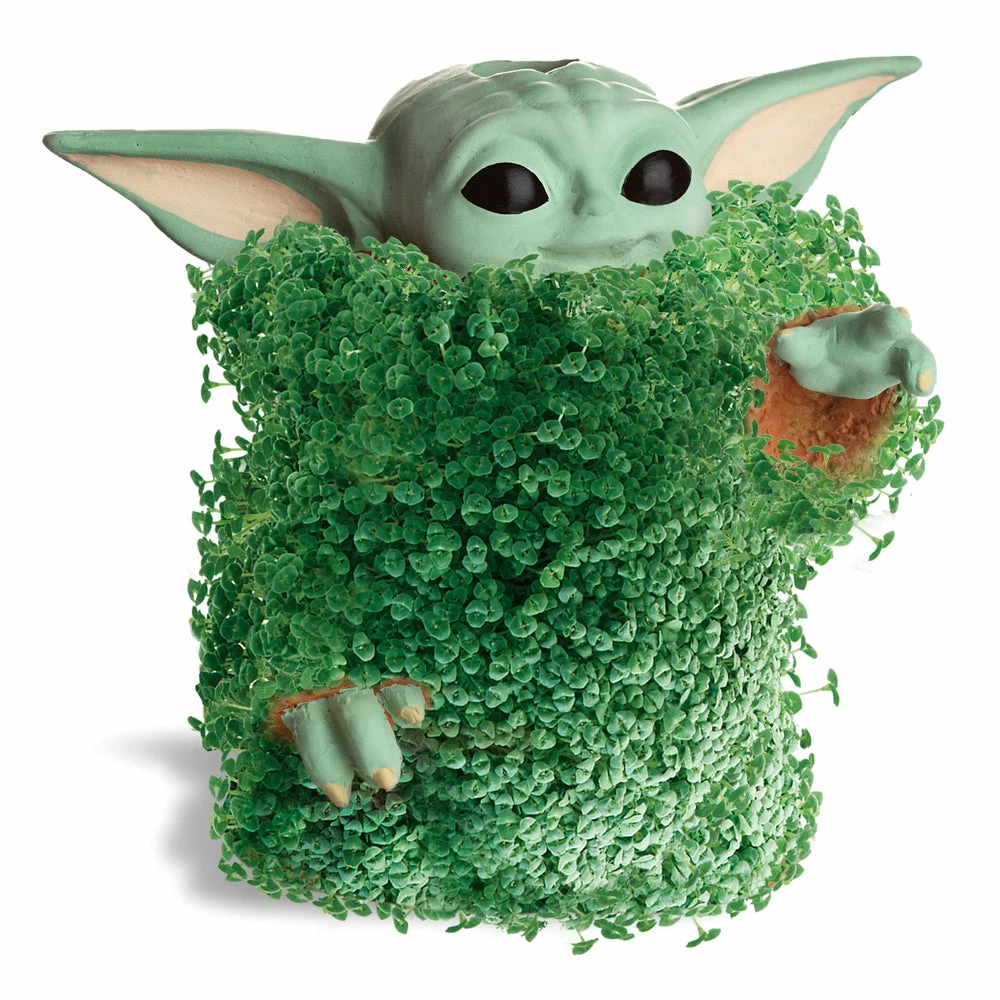 TVTimeDirect Chia Pet Planter - Star Wars Yoda The Child Using The Force Chia Pets 4 TVTimeDirect Chia Pet Planter - Star Wars Yoda The Child Using The Force Chia Pets