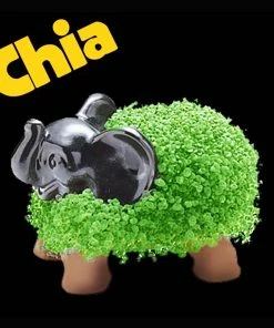 TVTimeDirect Chia Pets Chia Pet Planter - Elephant 9 TVTimeDirect Chia Pets Chia Pet Planter - Elephant