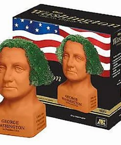 TVTimeDirect Chia Pet Planter - Freedom Of Choice George Washington - Determined
