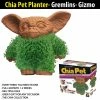 TVTimeDirect Chia Pet Planter - Gremlins- Gizmo Chia Pets 1 TVTimeDirect Chia Pet Planter - Gremlins- Gizmo Chia Pets