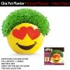 TVTimeDirect Chia Pets Chia Pet Planter - Emoji Planter - Heart Eyes