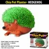TVTimeDirect Chia Pets Chia Pet Planter - Hedgehog