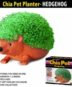 TVTimeDirect Chia Pets Chia Pet Planter - Hedgehog