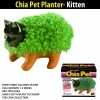 TVTimeDirect Chia Pet Planter - Kitten 2 TVTimeDirect Chia Pet Planter - Kitten