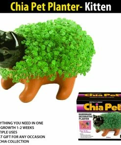 TVTimeDirect Chia Pet Planter - Kitten