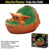 TVTimeDirect Chia Pets Chia Pet Planter - Star Wars Yoda The Child