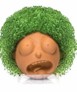 TVTimeDirect Chia Pet Planter - Rick & Morty -Morty
