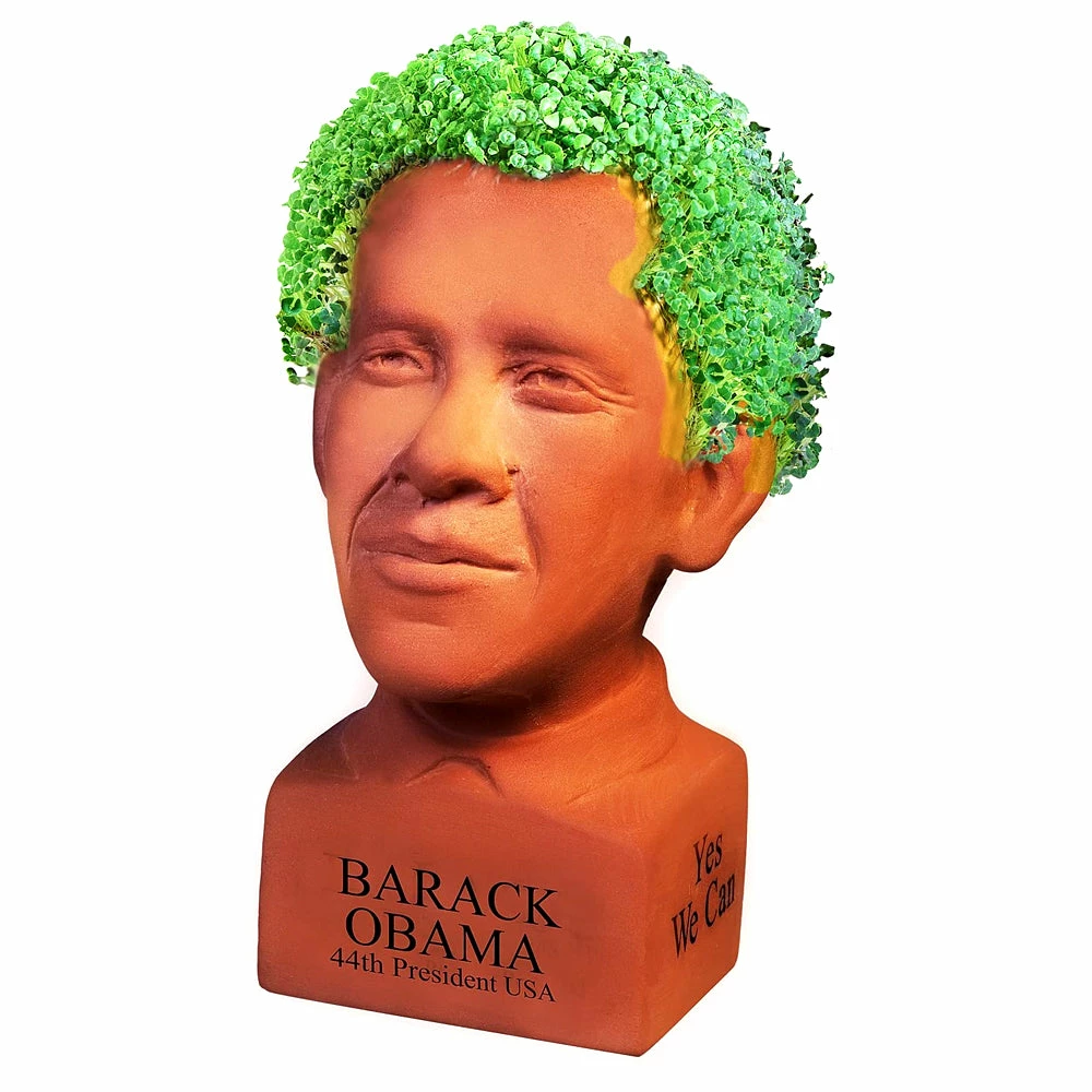 TVTimeDirect Chia Pet Planter - Freedom Of Choice Obama - Determined Pose 4 TVTimeDirect Chia Pet Planter - Freedom Of Choice Obama - Determined Pose