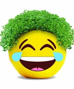 TVTimeDirect Chia Pets Chia Pet Planter - Emoji -Tears Of Joy