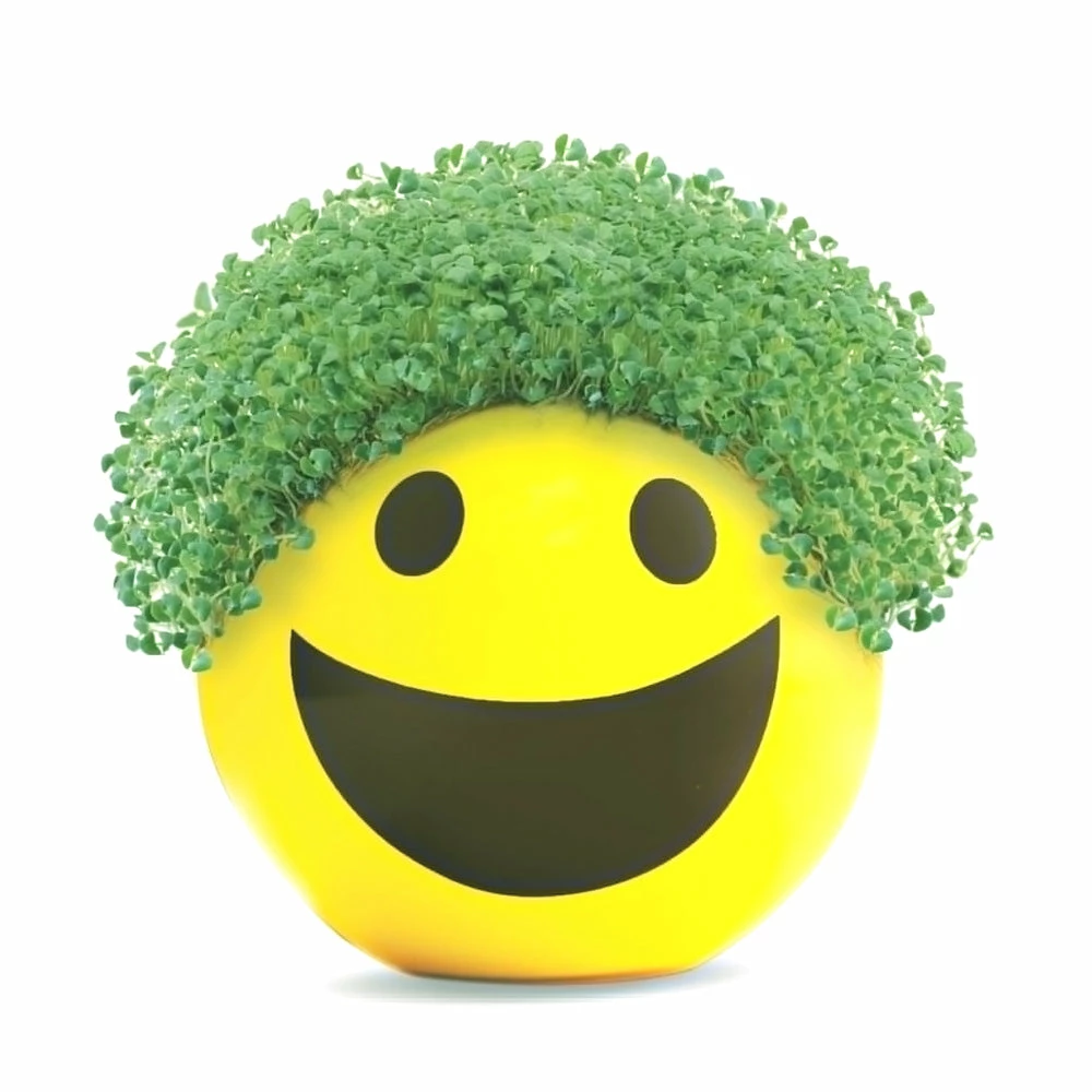 TVTimeDirect Chia Pet Planter - Emoji - Smiley Chia Pets 4 TVTimeDirect Chia Pet Planter - Emoji - Smiley Chia Pets