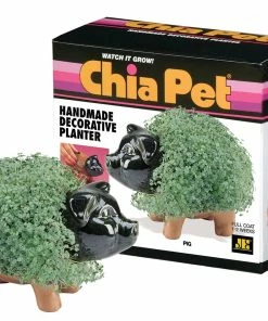 TVTimeDirect Chia Pets Chia Pet Planter - Pig