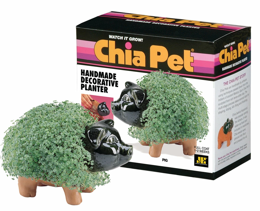 TVTimeDirect Chia Pets Chia Pet Planter - Pig 4 TVTimeDirect Chia Pets Chia Pet Planter - Pig
