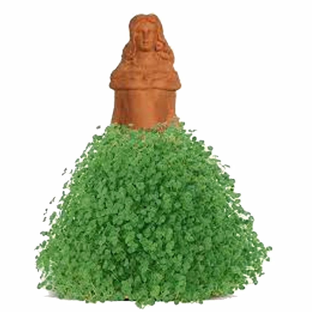 TVTimeDirect Chia Pets Chia Pet Planter - Princess 4 TVTimeDirect Chia Pets Chia Pet Planter - Princess