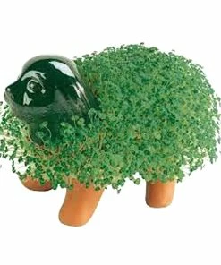 TVTimeDirect Chia Pets Chia Pet Planter - Puppy