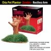 TVTimeDirect Chia Pets Chia Pet Planter - Zombie - Restless Arm