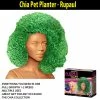 TVTimeDirect Chia Pets Chia Pet Planter - Rupaul