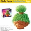 TVTimeDirect Chia Pets Chia Pet Planter - Trolls World Tour- Poppy