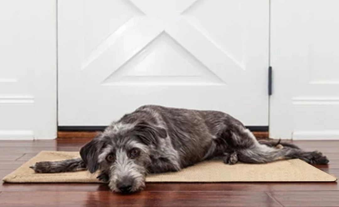 TVTimeDirect Easy To Clean Cozy Pet Mat - Large - 39" X 27" Pets 4 TVTimeDirect Easy To Clean Cozy Pet Mat - Large - 39" X 27" Pets