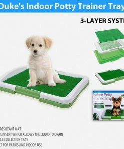 TVTimeDirect Pets Duke's Indoor Potty Trainer Tray